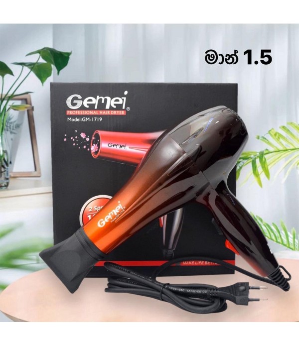 Gemini hair dryer